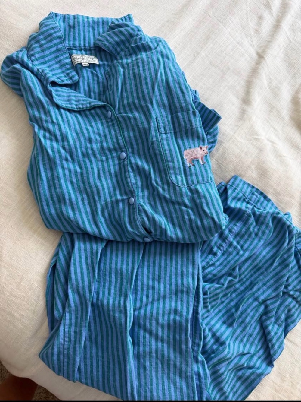 Dairy Boy Farm Friends Pajama - Pig - Teal & Turquoise - Picture 2 of 2